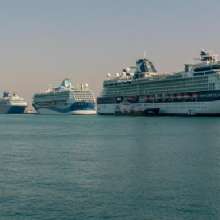 Marine Firms: A Guide to Sea Lovers