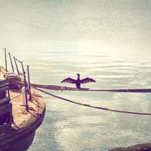 Rope at Sea