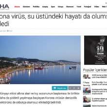 Coronavirus also negatively affected life above water