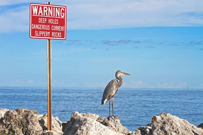 Warning Systems and Indicators 