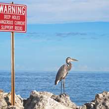 Warning Systems and Indicators 