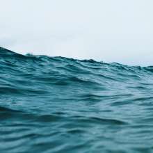 Quality and Trust at Sea 