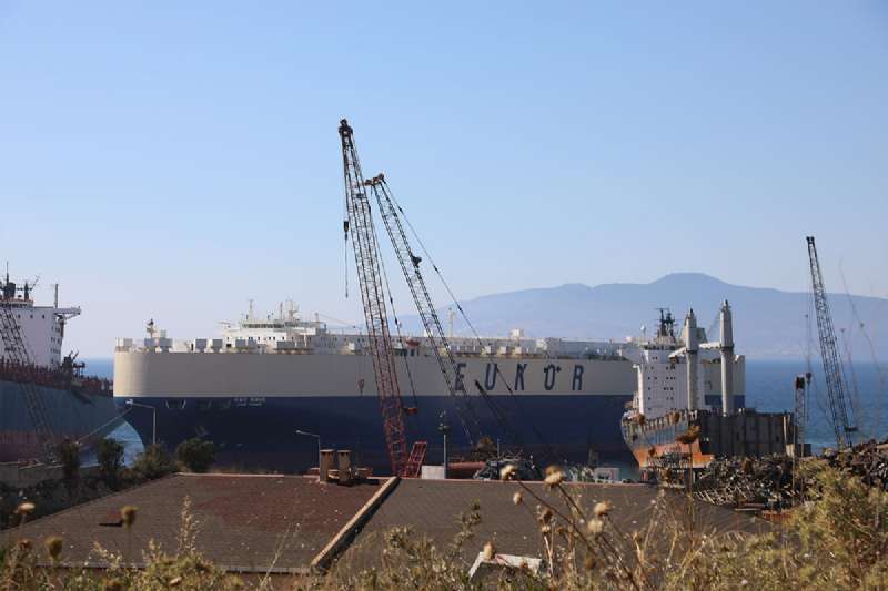 Ro-Ro Ships in Aliağa 
