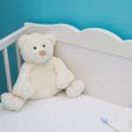 Souvenir Suggestions for Little Sea Lovers
