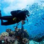 Indispensable Accessory of Divers Diving Watches