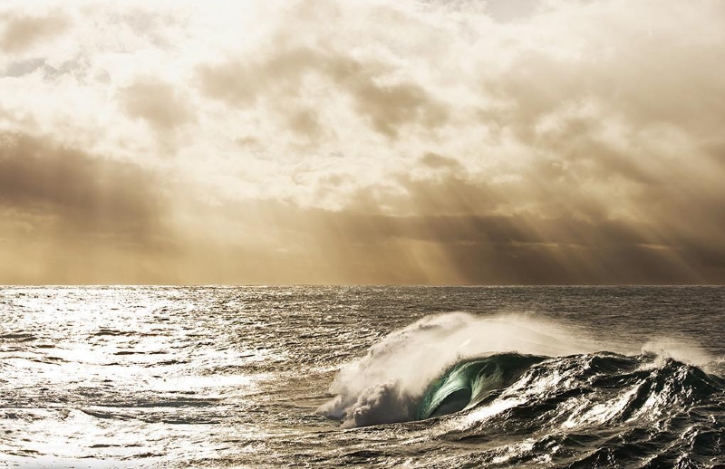 Deniz Tutkunu Fotoğrafçı Ray Collins