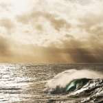 Deniz Tutkunu Fotoğrafçı Ray Collins
