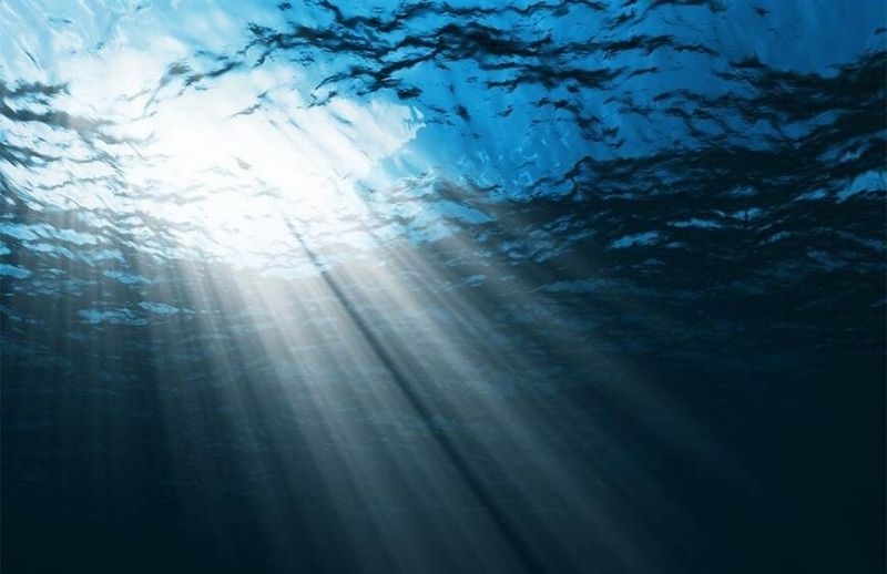 Denizlerin Gizemi: Keşfedilmemiş Dünyaların Sırrı